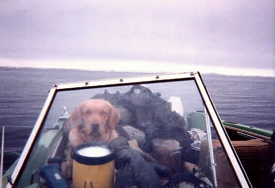 C-Dog - "Are we ready to go OR WHAT???"