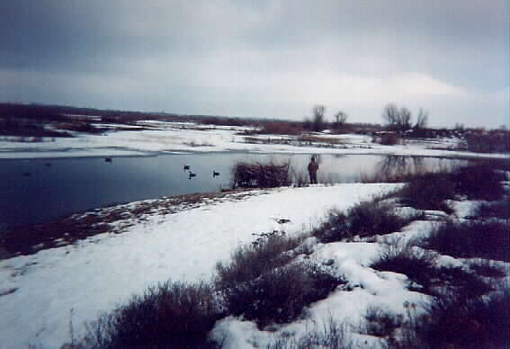 After the freeze . . .
