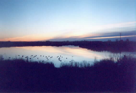 The gift of morning - Crab Creek