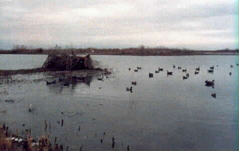 Potholes Reservior
