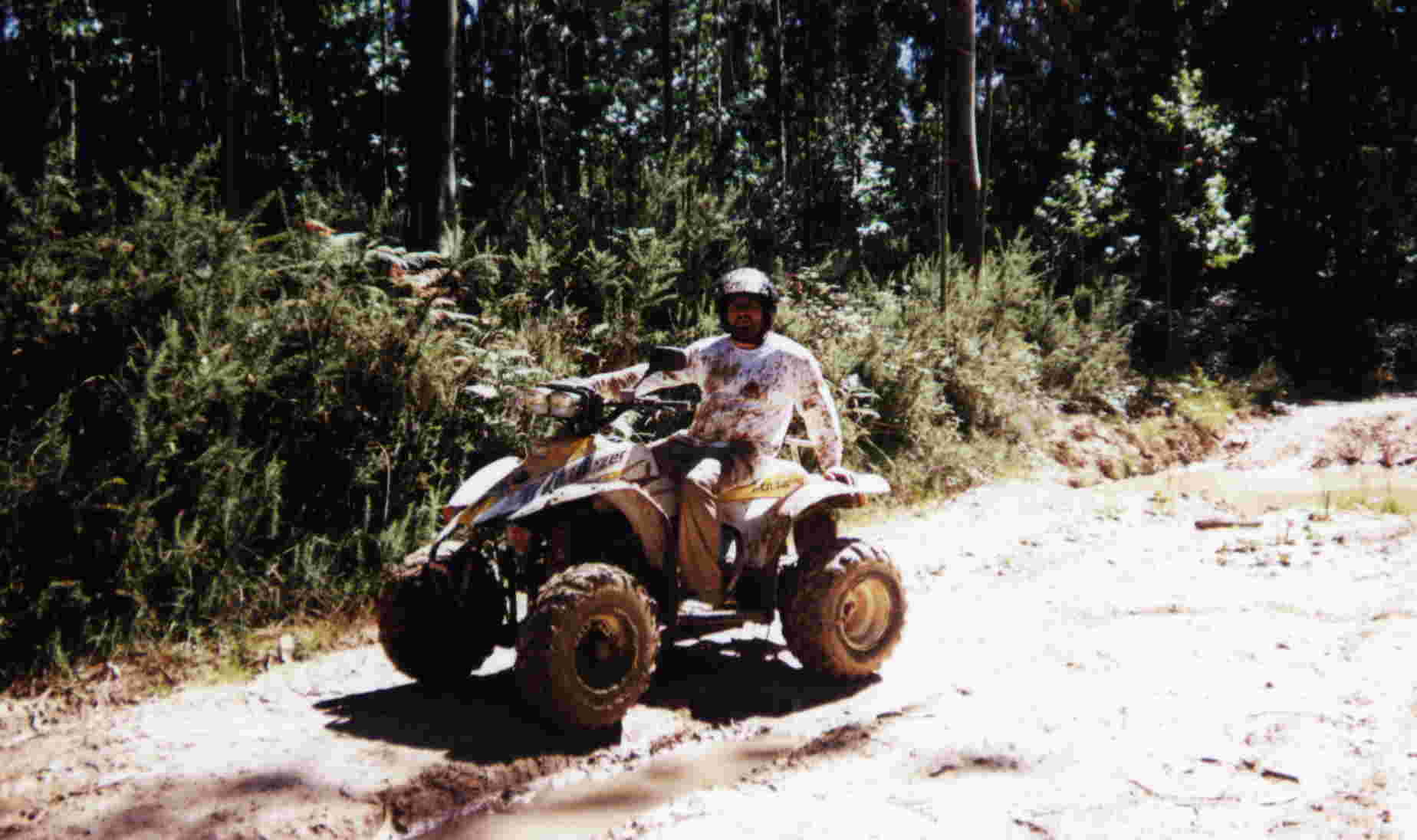 quad4.jpg (83640 bytes)