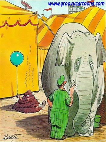 Bad elephant