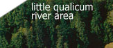 little qualicum river
