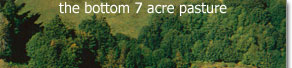 7 acre pasture