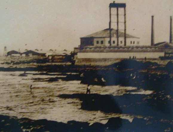 Vista de la Palomera desde la costa del Rio de la Plata