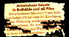 workingless housed in earthcave und ate mushrooms (piece of austrian newspaper "T�glich Alles",&nbsp; August 2000)