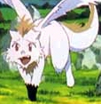 Hello, No I'm not a cat. Im' a dragon and I love fish.