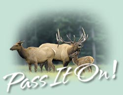Rocky Mountain Elk Foundation