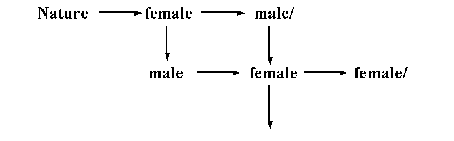 branching diagram 1
