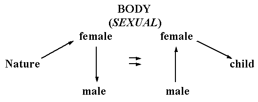 body diagram