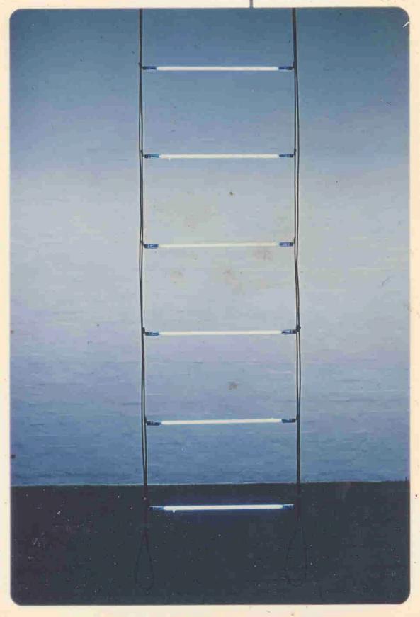 Blue Ladder