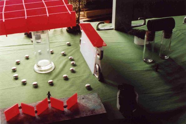 Maquette for the Quaternary Institute