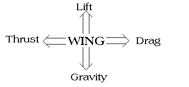 Forces on a Wing
