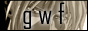 Gundam Wing Focus
