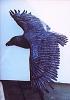 Stevie Jo's copper eagle sculpture