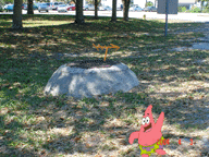 [Patrick In Florida!]