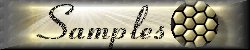 buttonsam.jpg (5776 octets)