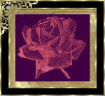 rosesm.jpg (8043 octets)