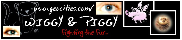 Wiggy and Piggy