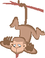 Virgin Monkey