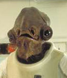 /user/ackbar4.JPG