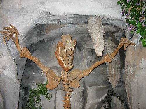 Pottenstein