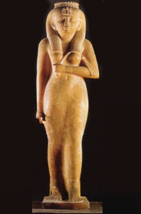 amenardis.jpg