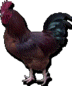 Click on Big Red to go back