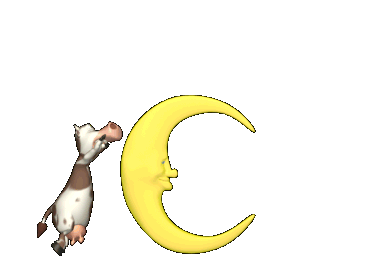 Moo!