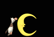 Moo-Moo-Moon