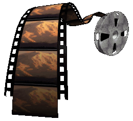 Let's Go to the Movies!
