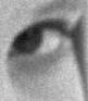 "One who has seen the EYE!"&nbsp; Um yes, an eye,