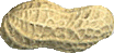 Arachide