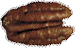 pacane