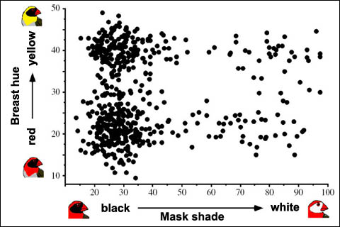 red-billed quelea scattergram