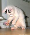 I'm gonna get ya, wait and see.