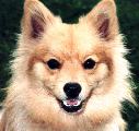 Sable smiling for the camera