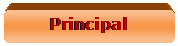 Rect�ngulo redondeado: Principal