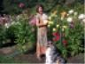All that rain gives us nice flowers - 9/22/1999