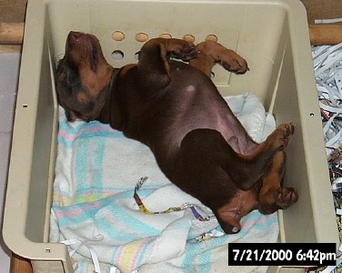 It was a long day!