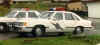 LTDpd_1.jpg (33034 bytes)