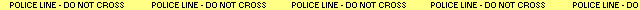 police line do not cross.jpg (8723 bytes)