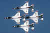 usaftbirds.jpg (66264 bytes)