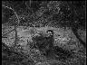 Strange Cargo