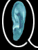 Seeing Ear Theatre