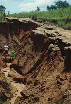 Local Roads