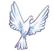 Peace