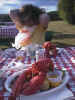 lobster for dinner.JPG (120571 bytes)