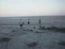 walking the beach.JPG (73211 bytes)