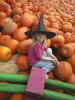Witch way did she go?